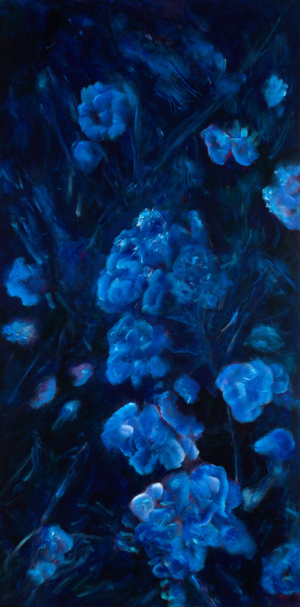 Nocturnal Radiance
